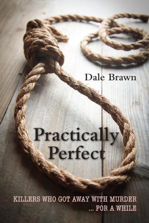 Cover of the book Practically Perfect by John Bacher