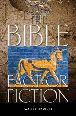 bigCover of the book The Bible: Fact or Fiction by 