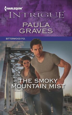 Book cover of The Smoky Mountain Mist