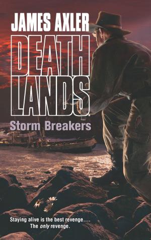 Book cover of Storm Breakers