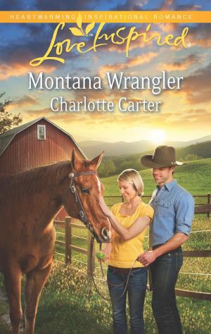 Cover of the book Montana Wrangler by Angela Bissell