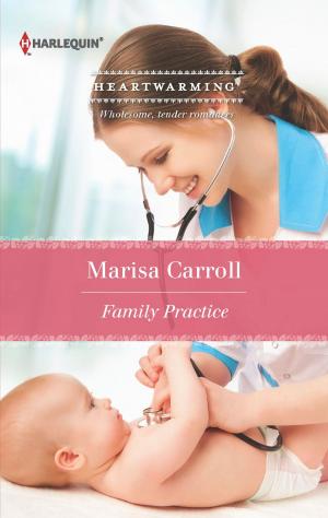 Cover of the book Family Practice by Erika Rhys