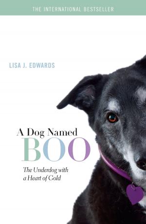 Cover of the book A Dog Named Boo by Janice Kay Johnson