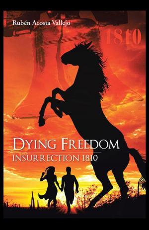 Cover of the book Dying Freedom by Sonia Tejeda