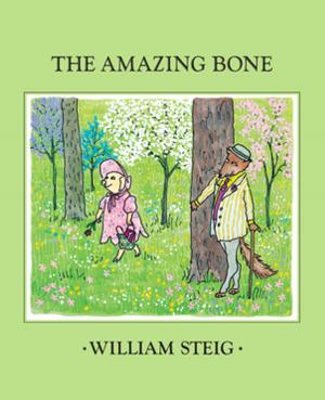 Cover of the book The Amazing Bone by Jack Gantos