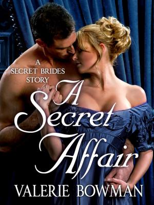 Cover of the book A Secret Affair by Matt Braun