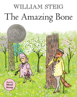 Cover of the book The Amazing Bone by Christian Kracht