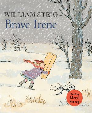 Cover of the book Brave Irene by Gennifer Albin
