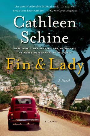 Cover of the book Fin & Lady by Christopher Reid