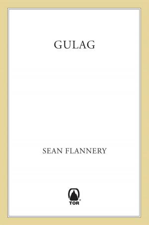 Cover of the book Gulag by James Mulhern