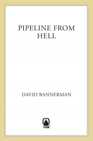 bigCover of the book Pipeline From Hell by 