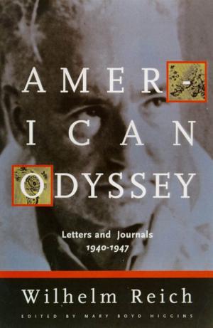 Cover of the book American Odyssey by Christopher Isherwood