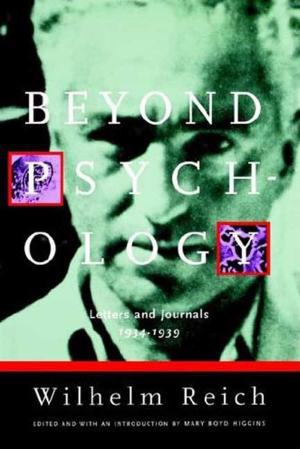 bigCover of the book Beyond Psychology by 