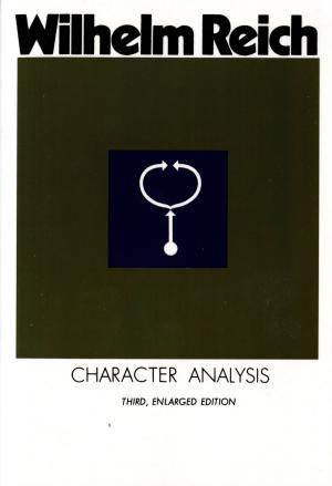 Cover of the book Character Analysis by Meghan Daum