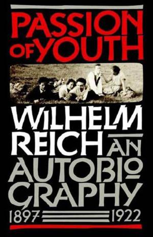Book cover of Passion of Youth