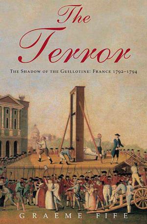 Cover of the book The Terror by Diane Fanning