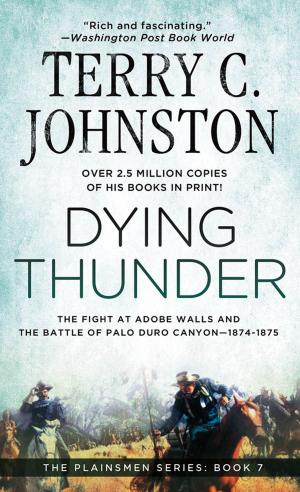 Cover of the book Dying Thunder by Christine Warren