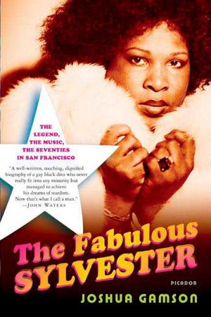 Cover of the book The Fabulous Sylvester by Walter Benn Michaels