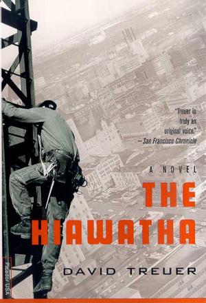 Cover of the book The Hiawatha by Yoko Ogawa