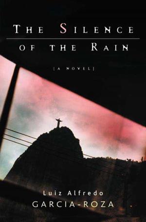 Cover of the book The Silence of the Rain by Garrett Epps