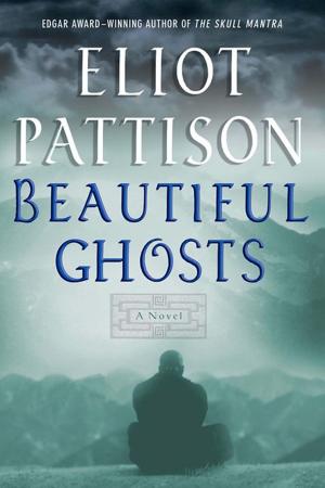 Book cover of Beautiful Ghosts