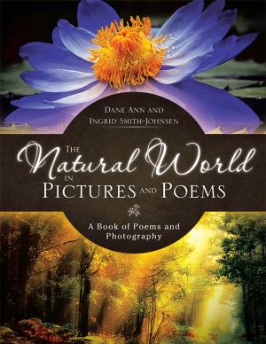 Cover of the book The Natural World in Pictures and Poems by Vincent Collins