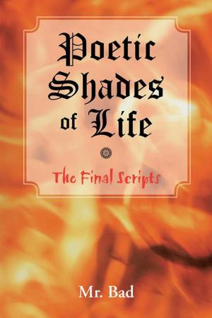 Cover of the book Poetic Shades of Life by R. Evans Pansing
