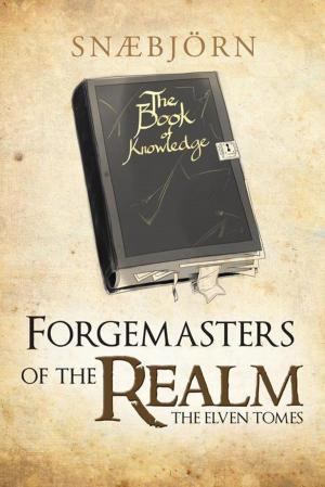 Cover of the book Forgemasters of the Realm by Lizz Huesmann