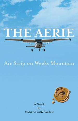 Cover of the book The Aerie by Rabbi Nilton Bonder