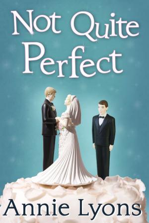 Cover of the book Not Quite Perfect by Meredith Rae Morgan