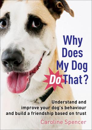 Cover of the book Why Does My Dog Do That? by Martin Millar