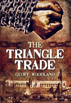 Book cover of Triangle Trade