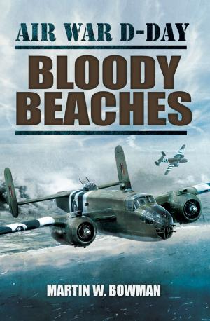 Book cover of Bloody Beaches