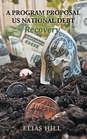 Cover of the book Us National Debt Recovery by Lindi Hamlin