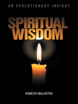 Cover of the book Spiritual Wisdom by David Roomy