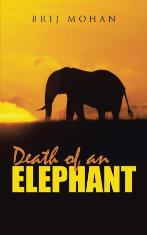 Cover of the book Death of an Elephant by Wolfgang Niesielski