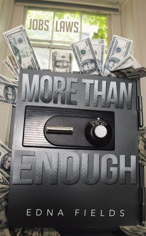 Cover of the book More Than Enough by Steven H. Propp