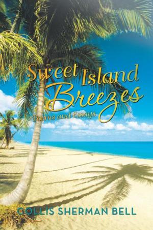 Cover of the book Sweet Island Breezes by Shadress Denise