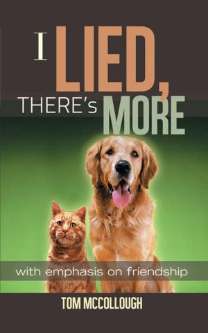 Cover of the book I Lied, There's More by Elizabeth A. Patterson