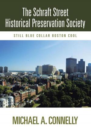 Cover of the book The Schraft Street Historical Preservation Society by Kenneth L. Barrett