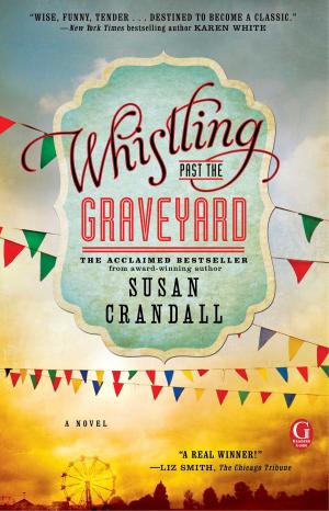 Cover of the book Whistling Past the Graveyard by Julie Dewey
