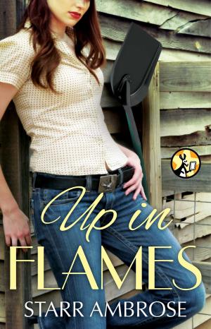 Cover of the book Up in Flames by A.S. Fenichel