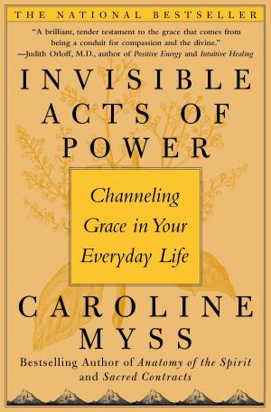 Cover of the book Invisible Acts of Power by Mikki Taylor