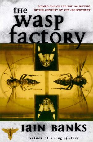 Book cover of The Wasp Factory