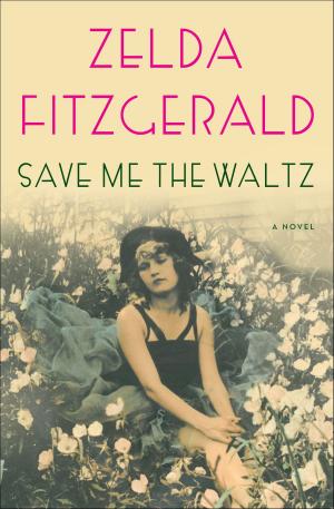 Book cover of Save Me the Waltz