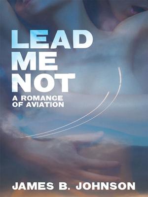 Cover of the book Lead Me Not by David P. Abbott