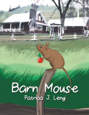 Cover of the book Barn Mouse by Dr. Larry Kammien