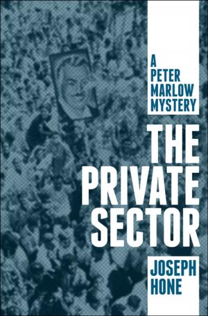 Book cover of The Private Sector