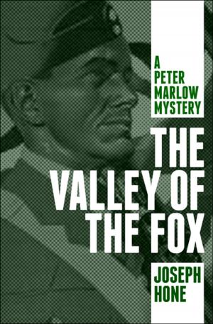 Cover of the book The Valley of the Fox by Alex Cantone