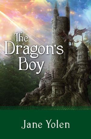 Cover of the book The Dragon's Boy by Nellie Bly